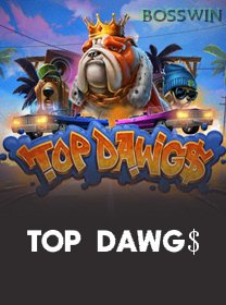 Top Dawg game cover